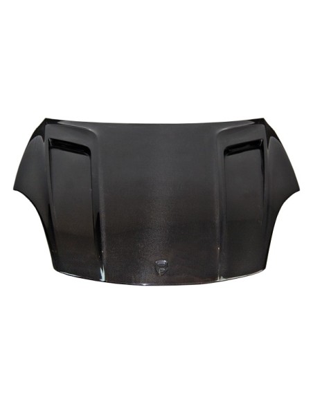 Spoiler Delantero Ford Fiesta '09 Carbono