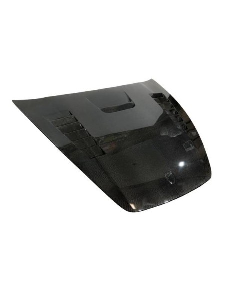 Spoiler Delantero BMW F20 / F21 12-14 Look M-Tech Carbono