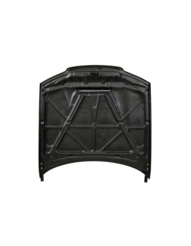 Capó Fibra BMW E46 '02-06 2P. GTR