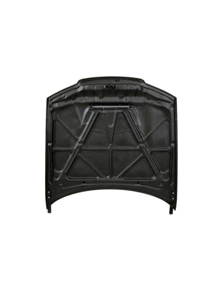 Capó Fibra BMW E46 '02-06 2P. GTR