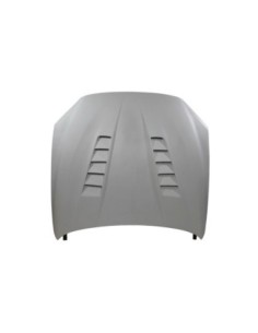 Capó Fibra F20/F21...