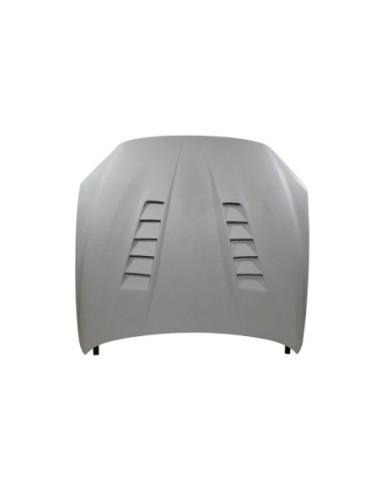 Capó Fibra F20/F21 2012-2019  /...