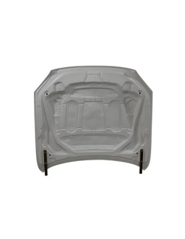 Capó Fibra F20/F21 2012-2019  /...