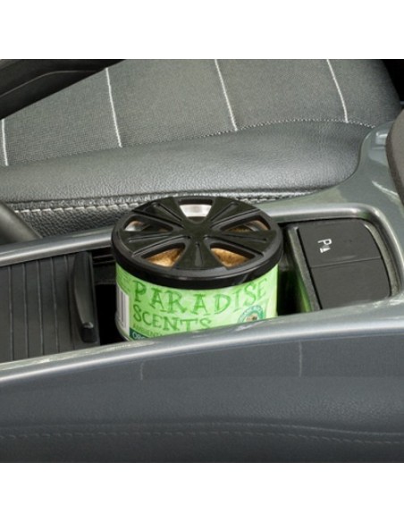 PERFUMADOR LATA LIMON PARADISE CS6