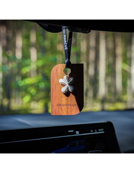 AMBIENTADOR DR. MARCUS LUCKY MIDNIGHT MIST