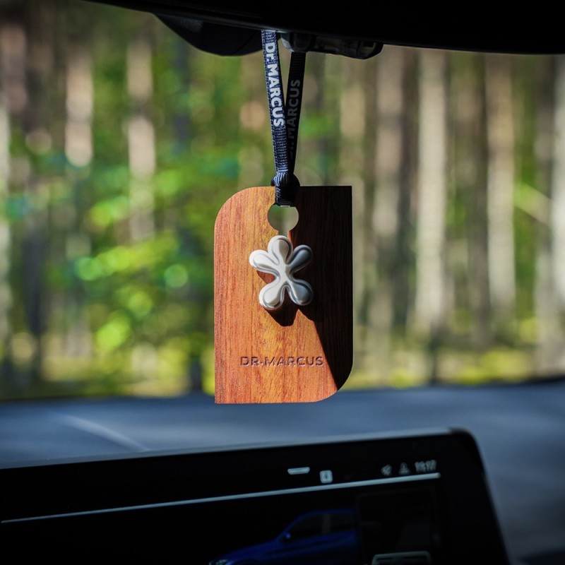 AMBIENTADOR DR. MARCUS LUCKY WILD FUSION