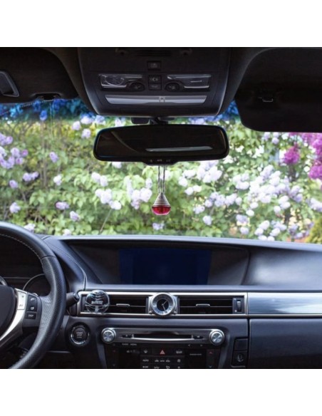 AMBIENTADOR DR. MARCUS WOOD BUBBLE GUM