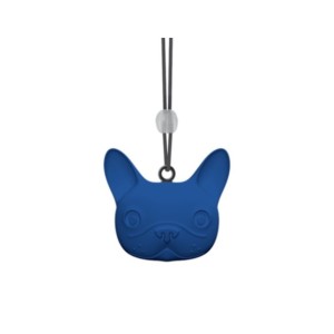 AMBIENTADOR DR. MARCUS...