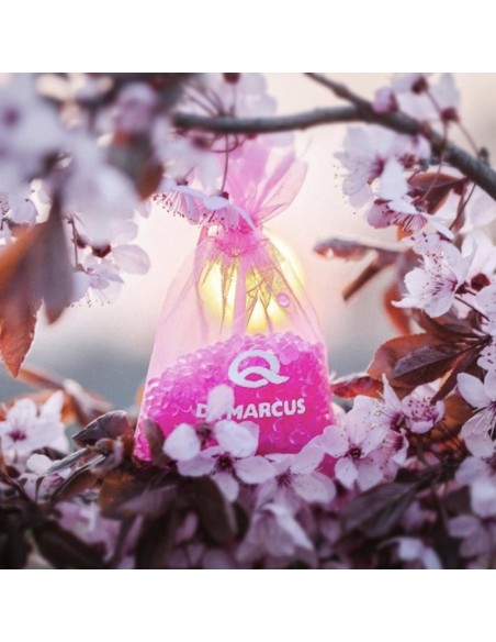 AMBIENTADOR DR. MARCUS FRESH BAG BUBBLE GUM