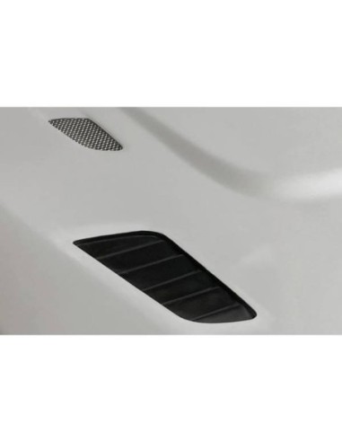 Portón De Fibra BMW E46 99-05...