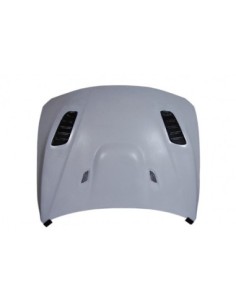 Portón BMW E82 Look CSL