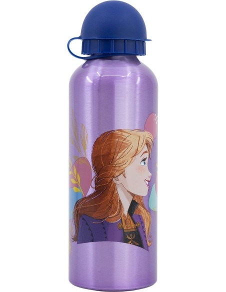BOTELLA ALTO ALUMINIO 530ML FROZEN