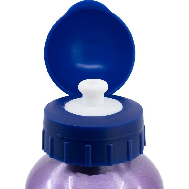 BOTELLA ALTO ALUMINIO 530ML FROZEN