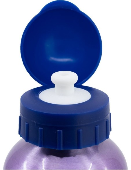 BOTELLA ALTO ALUMINIO 530ML FROZEN