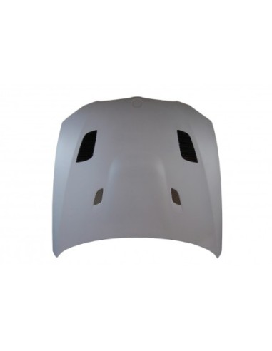 Portón BMW E46 98-05 4P. CSL