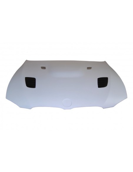 Portón BMW E46 98-05 4P. CSL