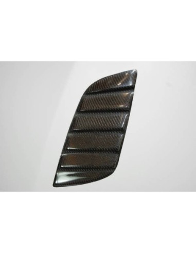 Portón BMW E46 98-05 4P. CSL