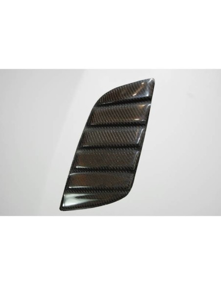 Portón BMW E46 98-05 4P. CSL