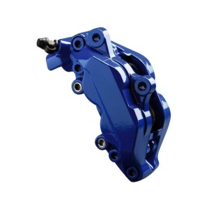 PINTURA PINZA FRENO SET  RS... 2