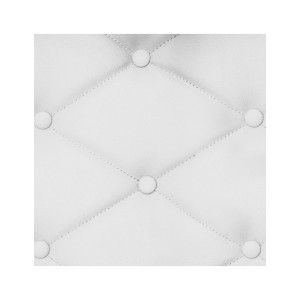 INTERIOR COLOR SPRAY... 2