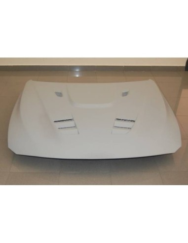 Portón BMW E92 / E92 Look M3 CSL Mod.II