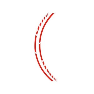 PIN STRIPING RACING NEON... 2