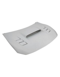 Portón BMW E93 CSL 2