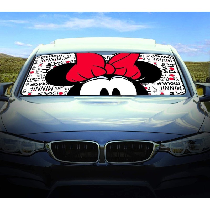 PARASOL FRONTAL & I27130X70CM"