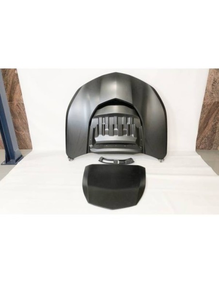 Aletas Ford Mustang 2010-2014 look GT500