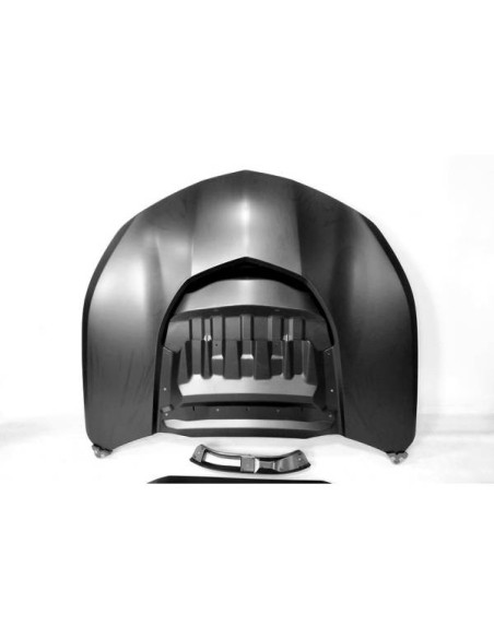 Aletas Ford Mustang 2010-2014 look GT500