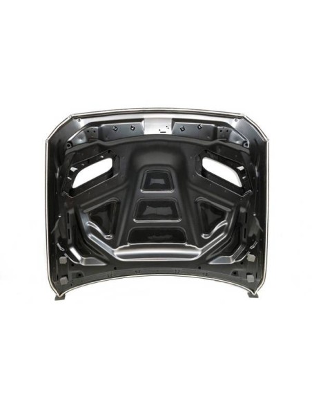 Capó BMW E92 / E93 10-13 LCI Look M3 GTR Metal