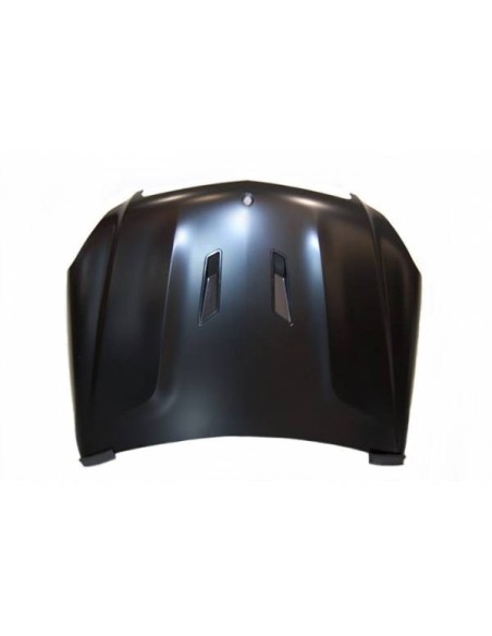 Capó BMW F10 / F11 10-16 Aluminio