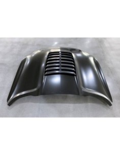 Capó Mercedes W213... 2