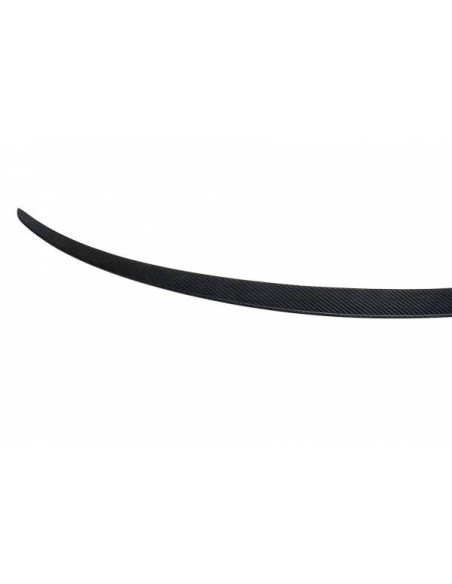 Alerón Tesla Model 3 Carbono