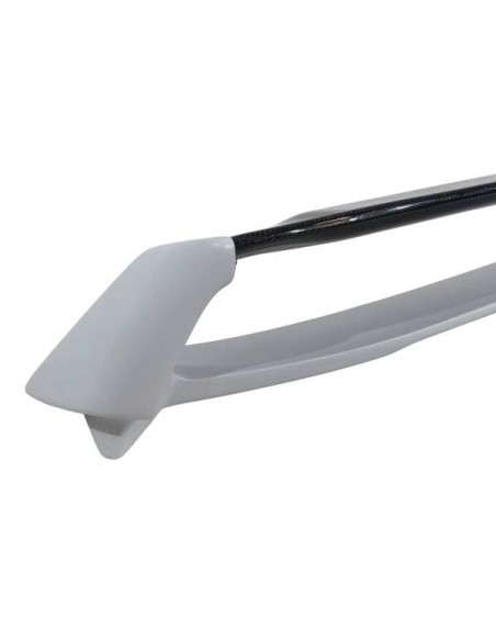 Alerón Honda Civic 2006-2014 Fn2 Type Mugen Flat Carbono