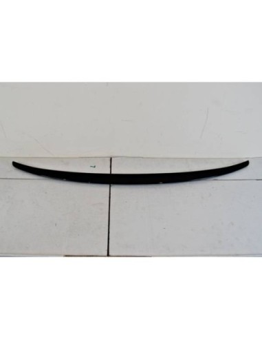 Capó Carbono BMW F16 / F15