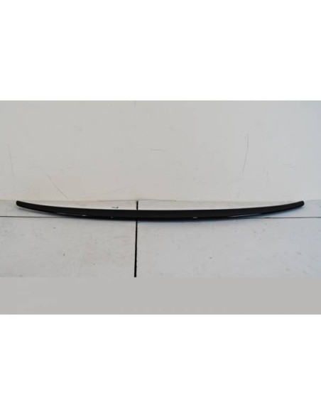 Capó Carbono BMW F16 / F15