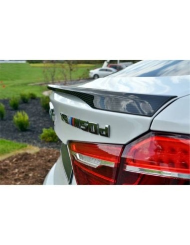 Alerón BMW F16 X6 14-17 Carbono