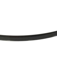 Capó Carbono BMW F10... 2