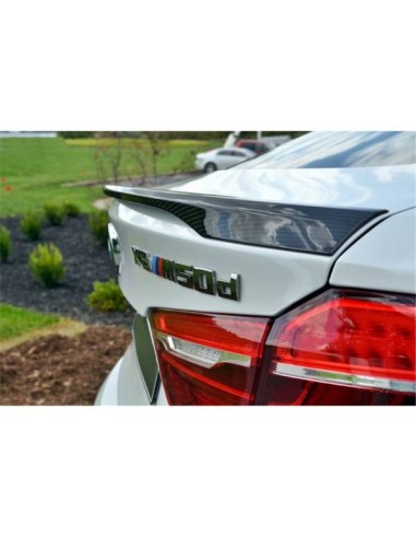 Alerón BMW F16 X6 14-17 Carbono