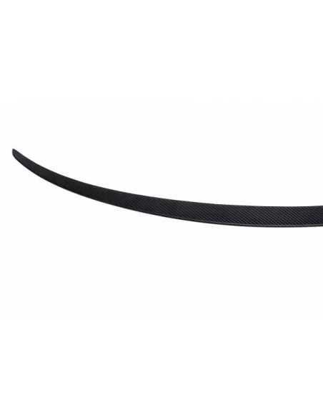 Alerón Tesla Model 3 Carbono