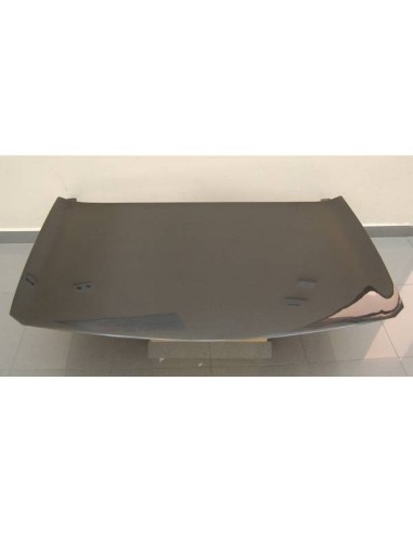 Capó Carbono Renault Megane 2003 S/T