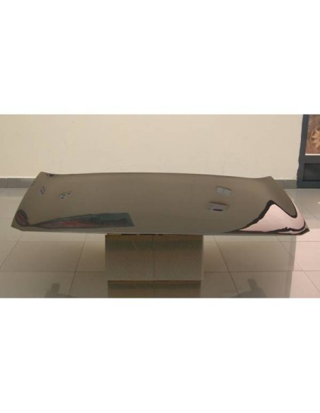 Capó Carbono Renault Megane 2003 S/T