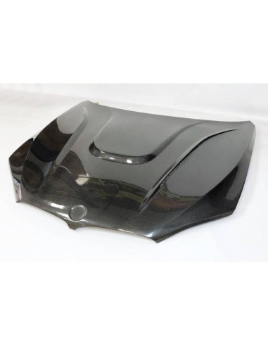 Capó Carbono BMW F16 / F15