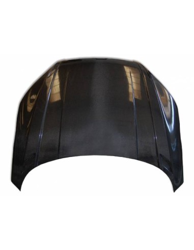 Capó Carbono Audi TT 8J 2006-2014
