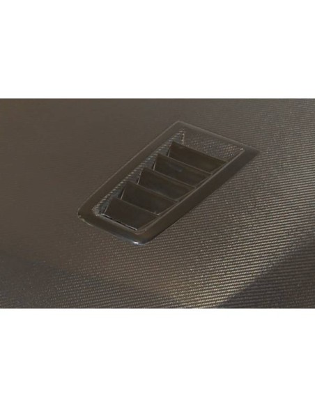 Capó Carbono Ford Focus 2005-2007 C/T RS