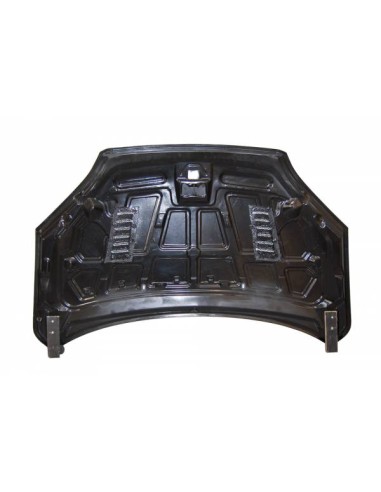 Capó Carbono Ford Focus 2005-2007 C/T RS