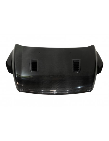 Capó Carbono Ford Focus 2008-2011 RS C/T