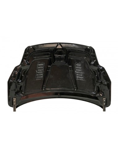 Capó Carbono Ford Focus 2008-2011 RS C/T