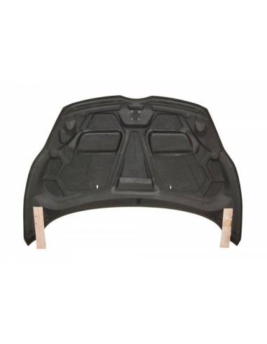 Capó Carbono Ford Fiesta 2009-2013 Hatchback